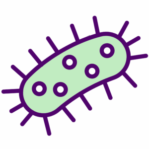 An icon of microscopic mould bacteria is seen, in green and purple.
