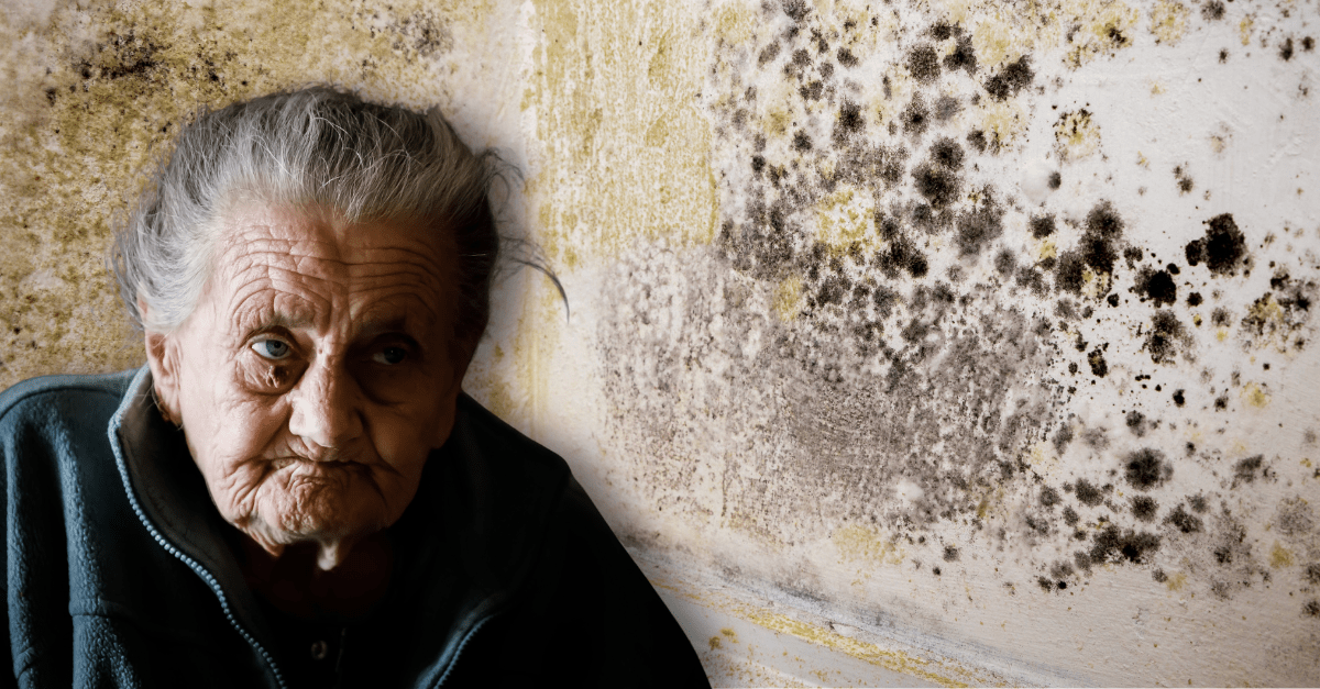 Elderly client beats Mosscare over damp and mould issues